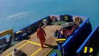 작업용 선박 판매 중