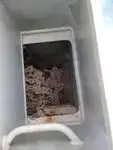 페리 선박 판매 중
