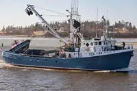 Purse seiner 판매용