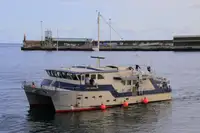 측량 선박 판매 중