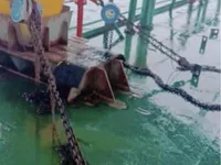 바지선 판매 중