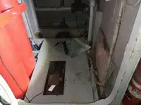 크루즈선 판매 중