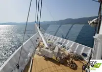 크루즈선 판매 중