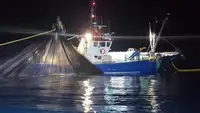 Trawler 판매용