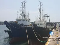 트롤 어선 판매 중
