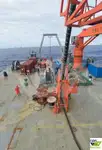 벌크선 판매 중