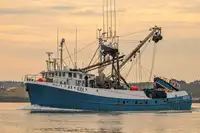 Purse seiner 판매용