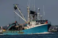 Purse seiner 판매용