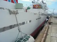 정찰 보트 판매 중