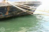 페리 선박 판매 중