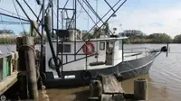 Trawler 판매용