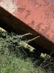 바지선 판매 중