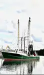 Trawler 판매용