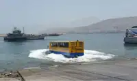 양서류 판매 중
