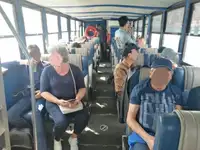 양서류 판매 중