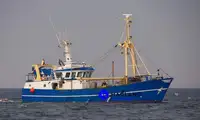 Beam trawler 판매용