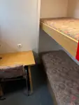 정찰 보트 판매 중