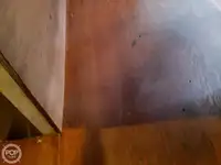 페리 선박 판매 중
