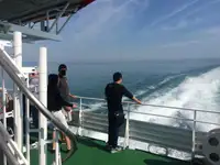 크루즈선 판매 중