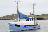 Longliner 판매용