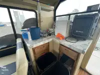 크루즈선 판매 중