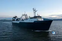 Trawler 판매용