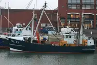 Trawler 판매용