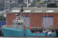 Trawler 판매용