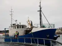 Trawler 판매용