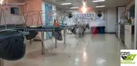 보급선 판매 중