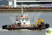 General Cargo/Multi-purpose 판매 중