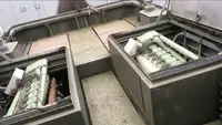 예인선 판매 중
