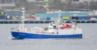 Purse seiner 판매용