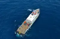 보급선 판매 중
