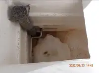 선망 어선 판매 중