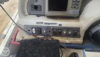 크루즈선 판매 중