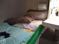 커터 판매 중