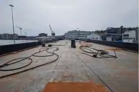 짐배 판매용