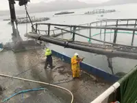 작업용 선박 판매 중