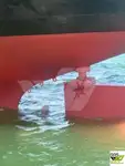 벌크선 판매 중