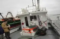 조종선 판매 중