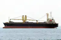 벌크 선 판매용