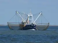 Trawler 판매용