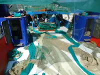 Trawler 판매용