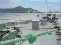 정찰 보트 판매 중