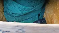 트롤 어선 판매 중