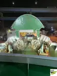 Ro-Ro 선박 판매 중