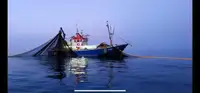 Trawler 판매용