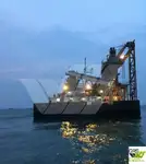 벌크선 판매 중