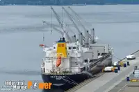 벌크선 판매 중
